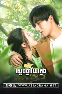 ស្តេចថ្នាំវ័យក្មេង-៣៦ចប់